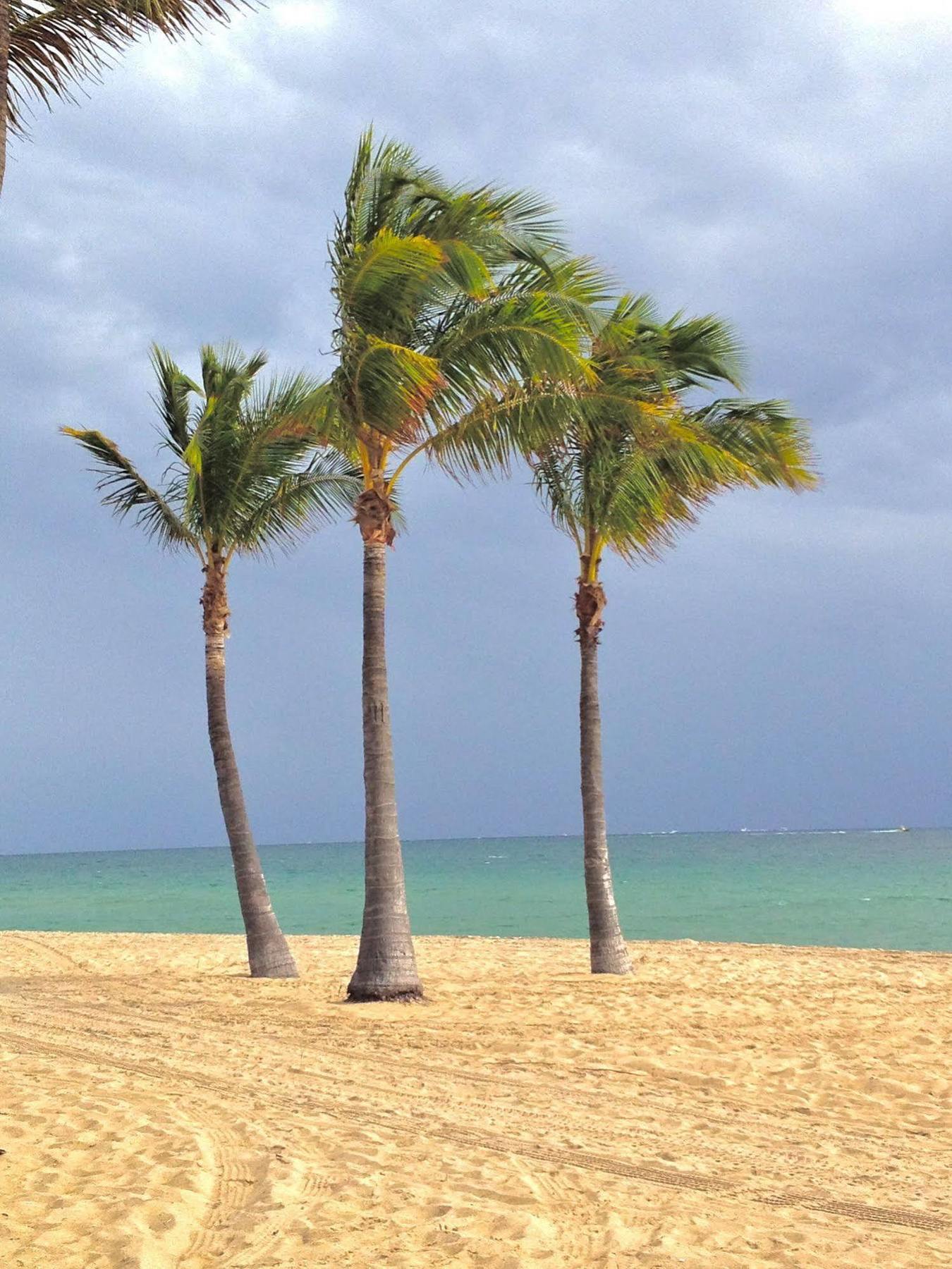 Fortuna Fort Lauderdale Buitenkant foto